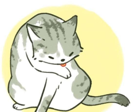 猫咪舔毛是为了清洁么,猫咪舔毛时有哪些不能做的