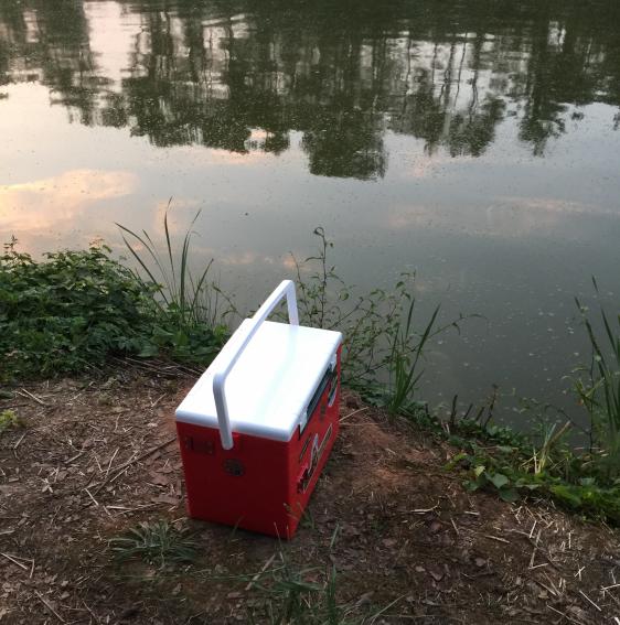 汀粉二代出征，神鹤轻强硬喜获佳绩