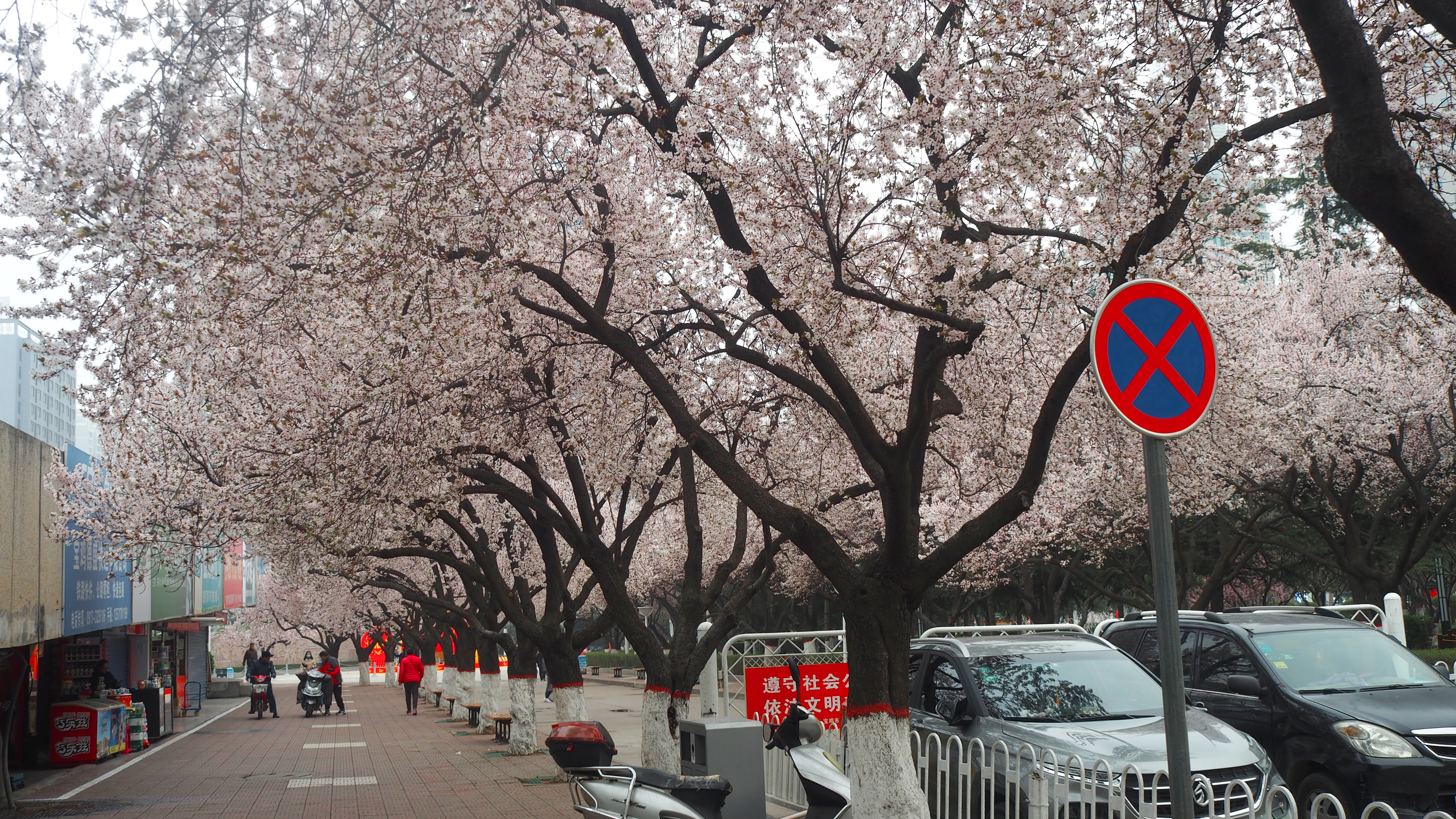 一个人从南到北跨越了整个中国,一个人从南到北的旅行