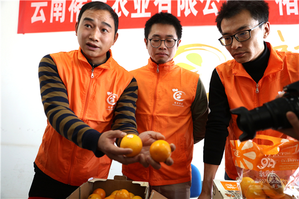 辨别真假褚橙的方法来了，买了褚橙和正要买褚橙的人一定要看过来