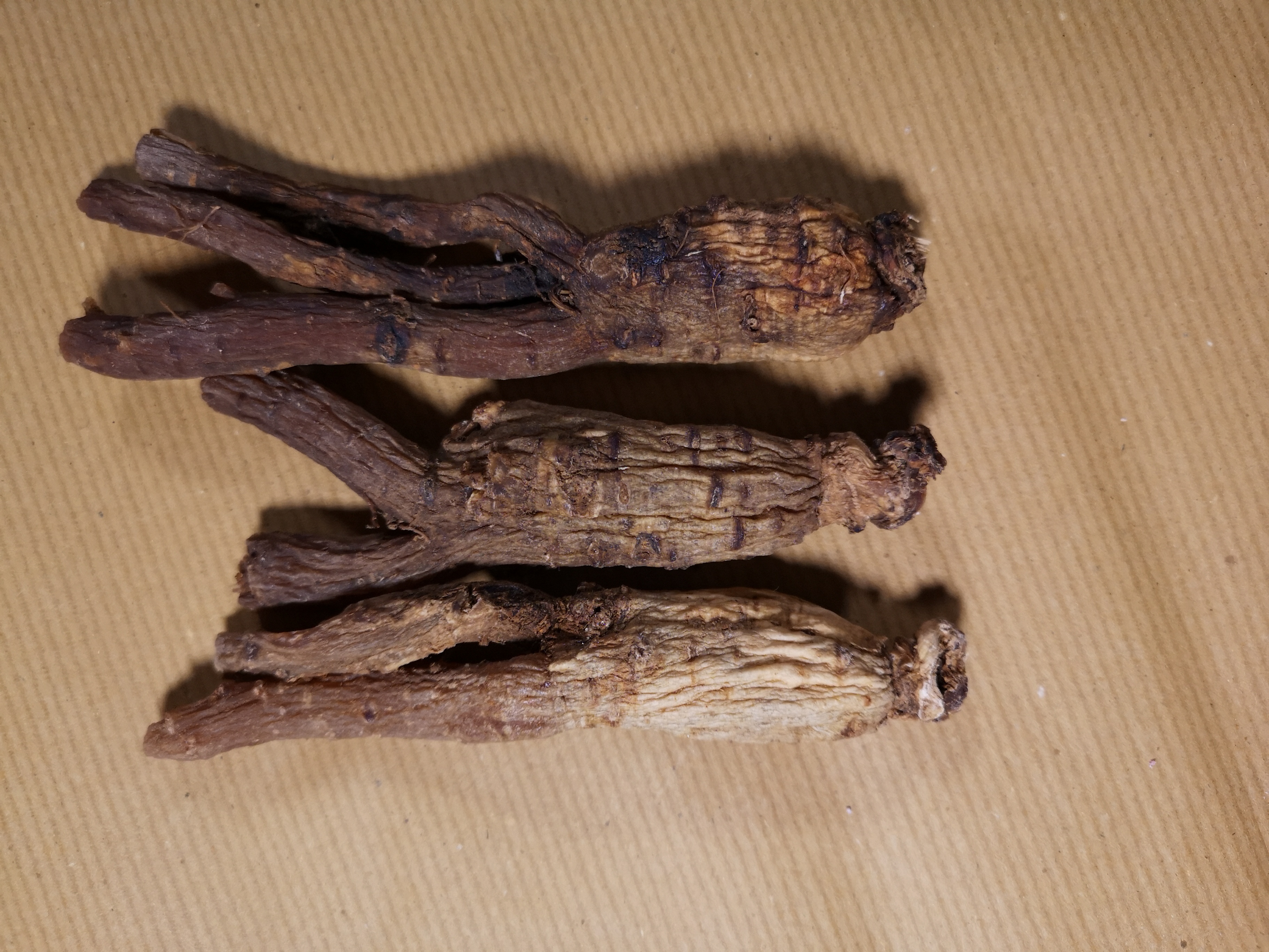 鲜参的加工详细方法,鲜参的种类大全