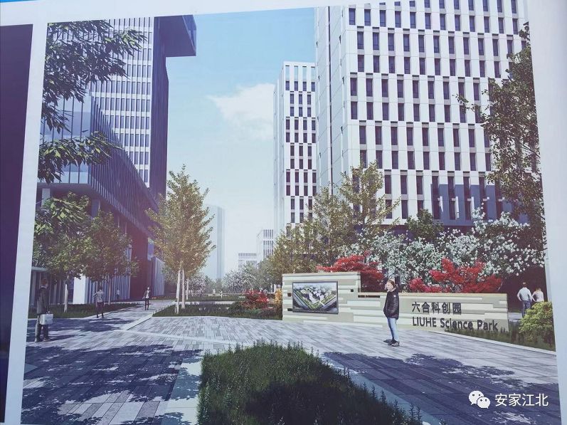 北京东路小学开发区分校,北京东路小学分校紫金分校怎么样