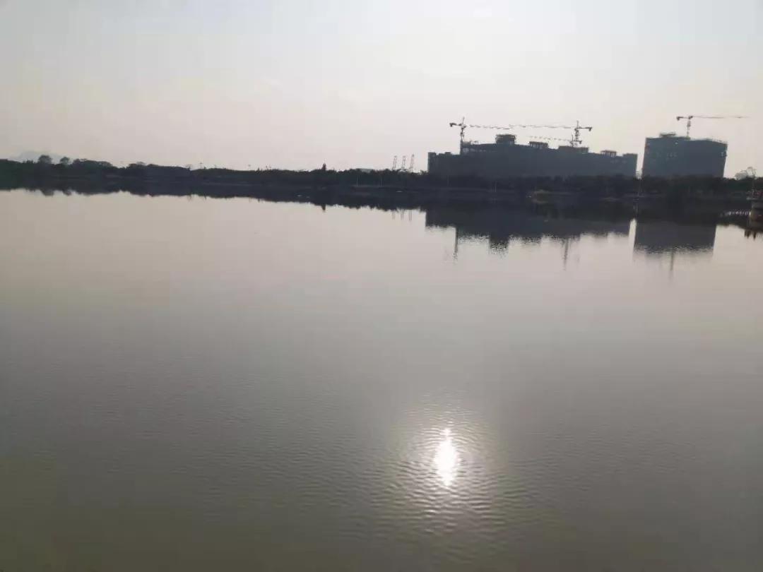 沙田韭菜聚集地，最像投资盘的投资盘