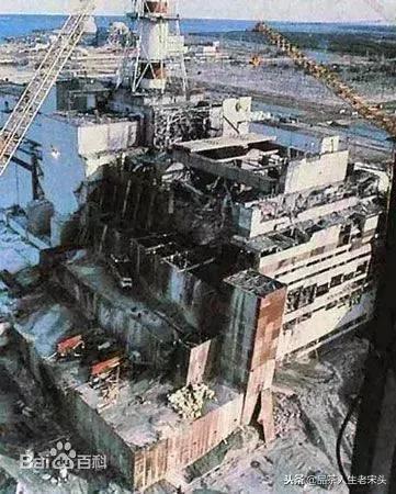 最新世界十大“怪”，最后一个太绝了！