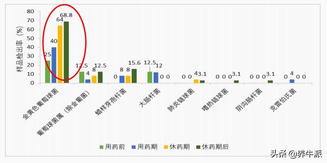 “种，养，病，管”四大金刚把控原奶质量