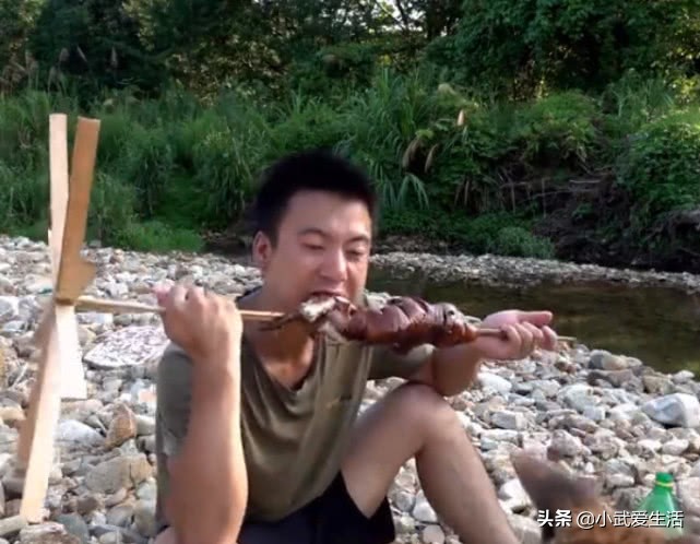 竹鼠中暑被华农兄弟埋在沙子里,华农兄弟这只竹鼠中暑了原版