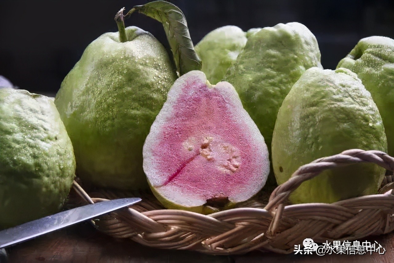 水果天堂：海南水果品种及上市时间表