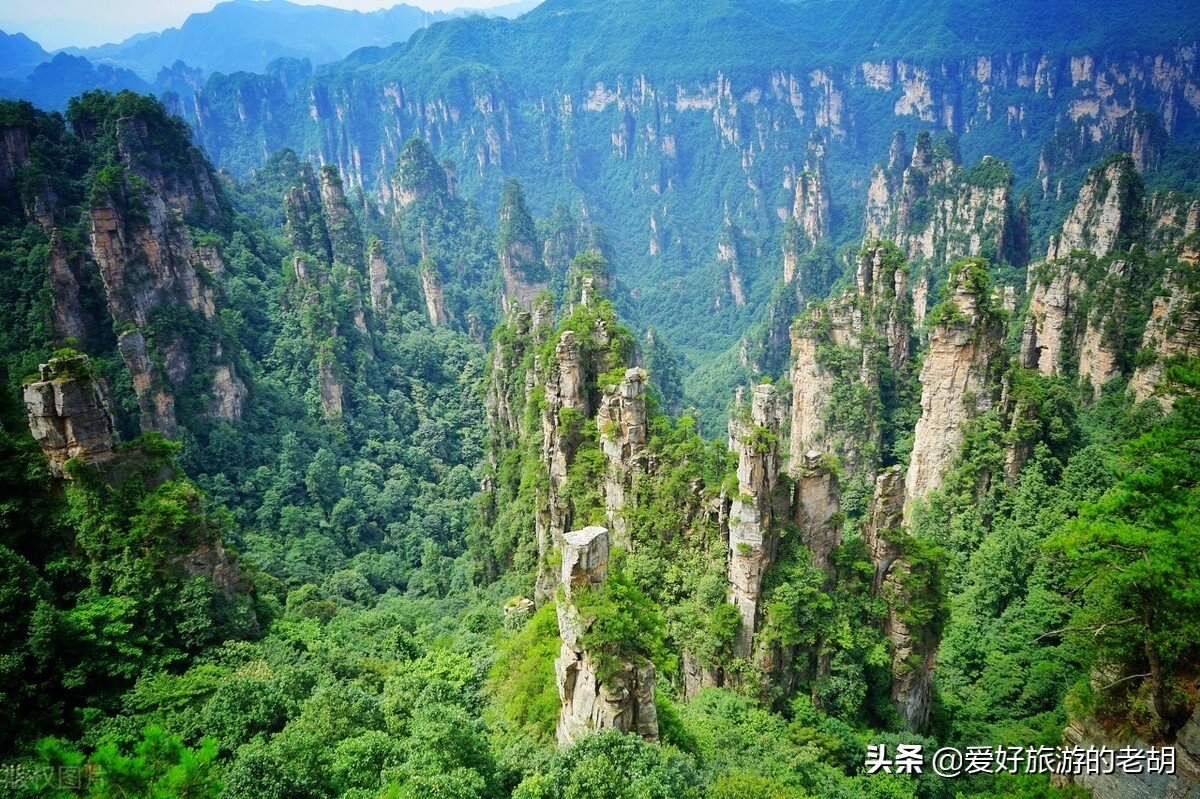 五一自驾张家界旅游攻略和费用,春节自驾张家界5天4晚旅游攻略