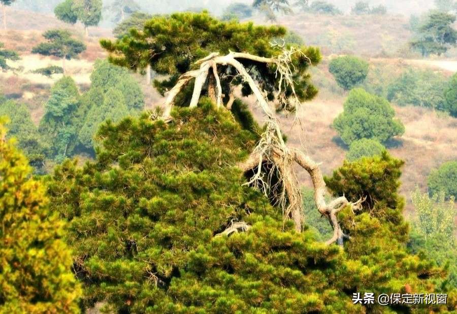 易县最美的风景线,带上好心情向美丽出发