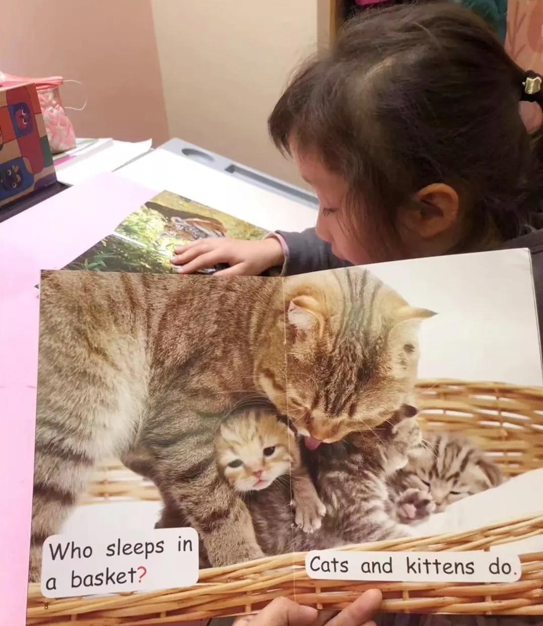 英语原版书阅读启蒙书目推荐,英文原版书对学英语有用吗