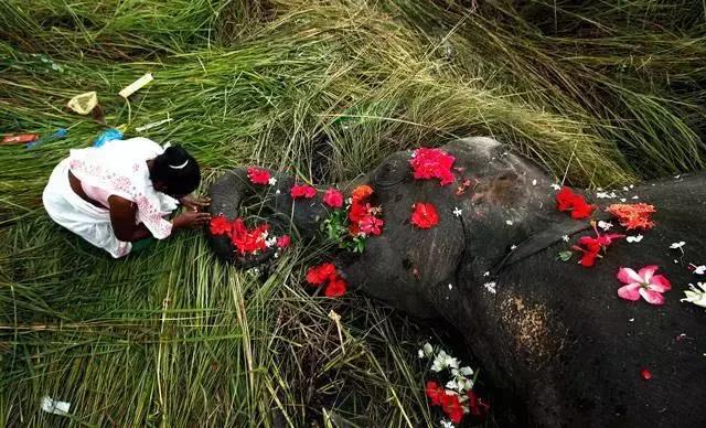 80张惊艳美图,80张风景图片大全