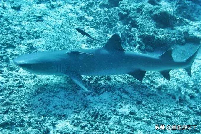 仙本那旅游攻略,去仙本那的攻略