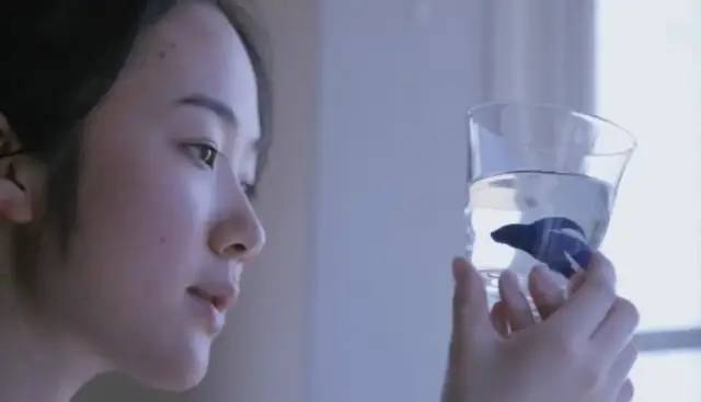 岩井俊二镜头下的美好,岩井俊二的电影你看过几部