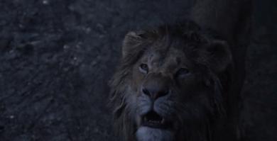 小时候看狮子王长大后的感觉,童年经典狮子王意大利版