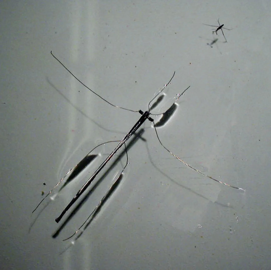 孩子膀胱容量130,儿童最大膀胱容量197正常吗