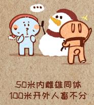 如何避免戴眼镜对颜值的影响,戴眼镜对人颜值的影响