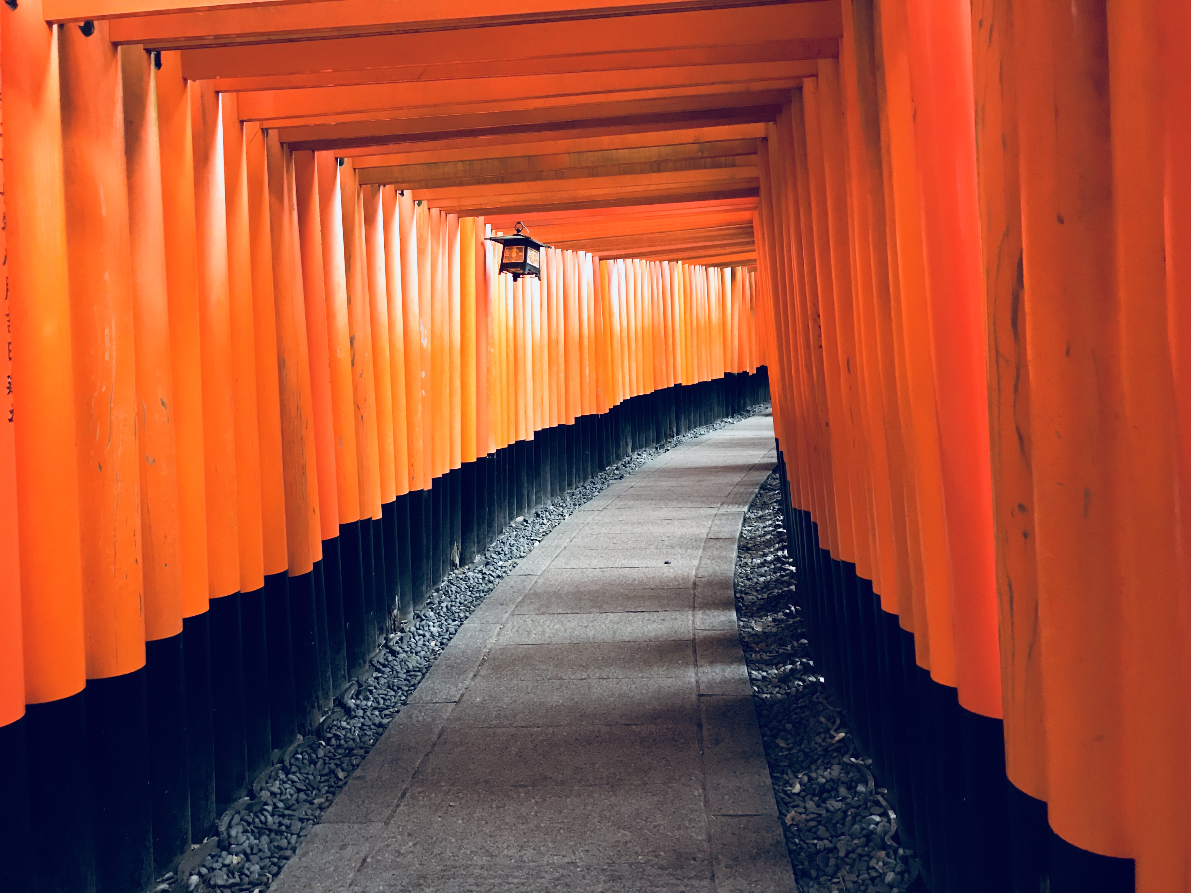 80后旅游博主,80后旅行博主