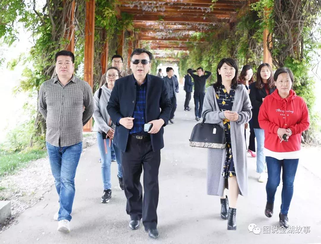 金湖荷花荡灯光秀,金湖荷花池塘美景