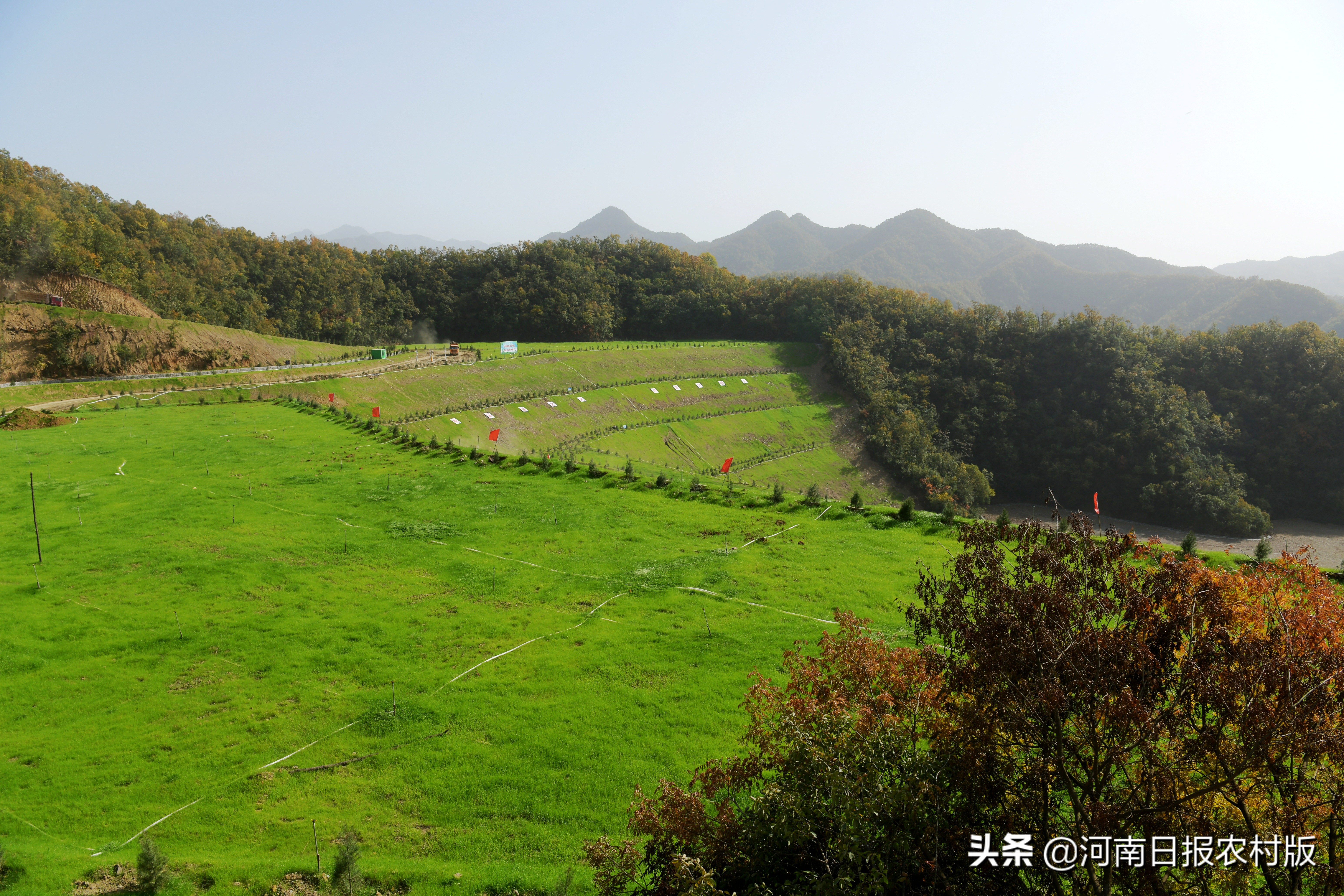 中金嵩县金牛公司坚持经济发展和环境保护“两手抓”——缔造绿色矿山高质量发展典范