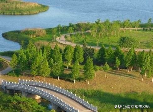 仙林湖二手房比较,南京仙林湖房价最低二手房