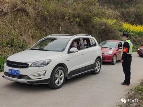 成都桃花花海,成都绕城周边花海