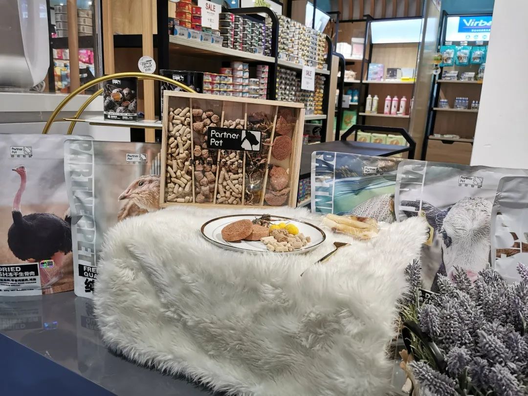 欢迎同行入内，这是一家为宠物店而开的宠物