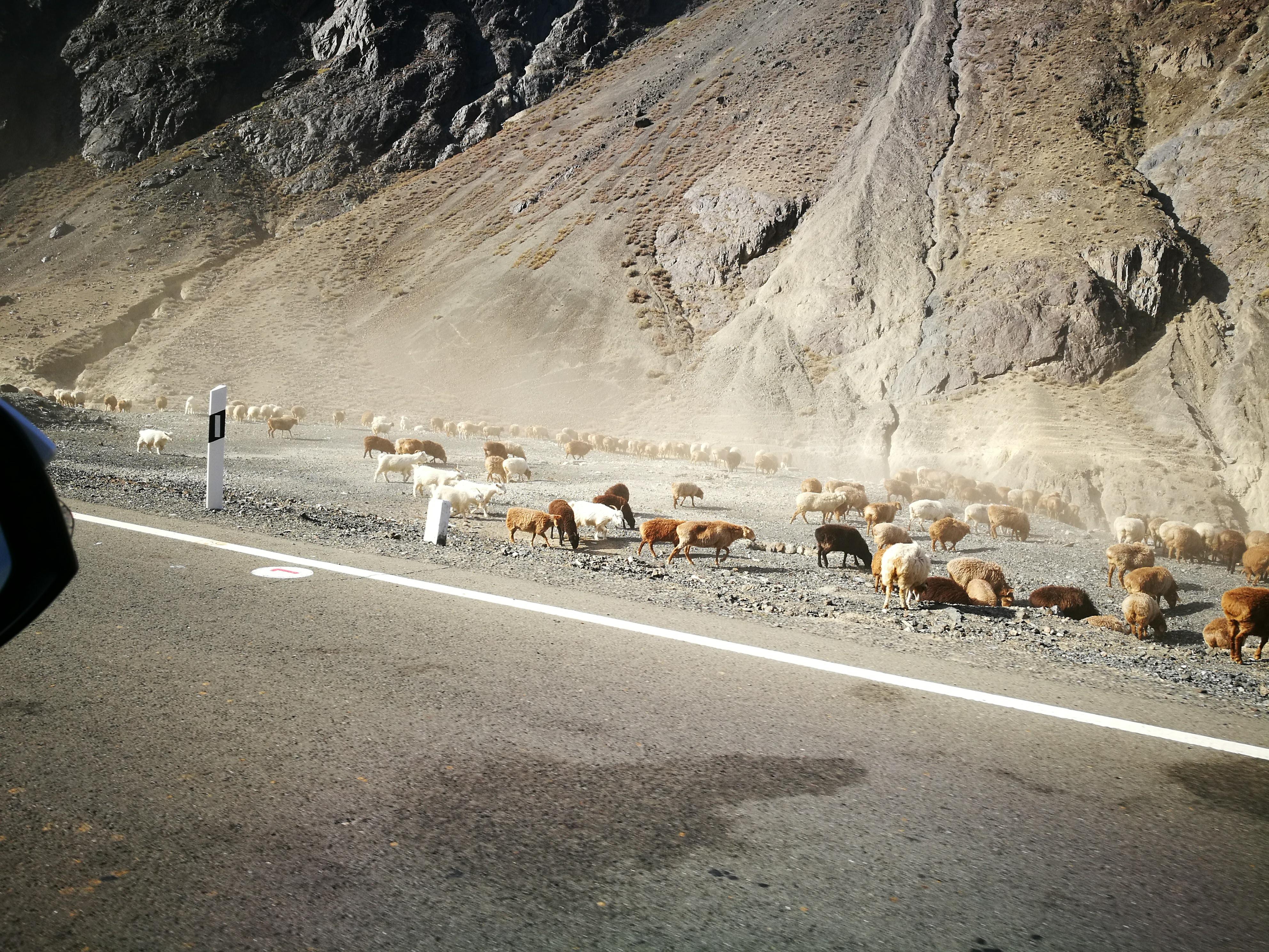 独库公路之旅日记,13000公里自驾新疆第十二天