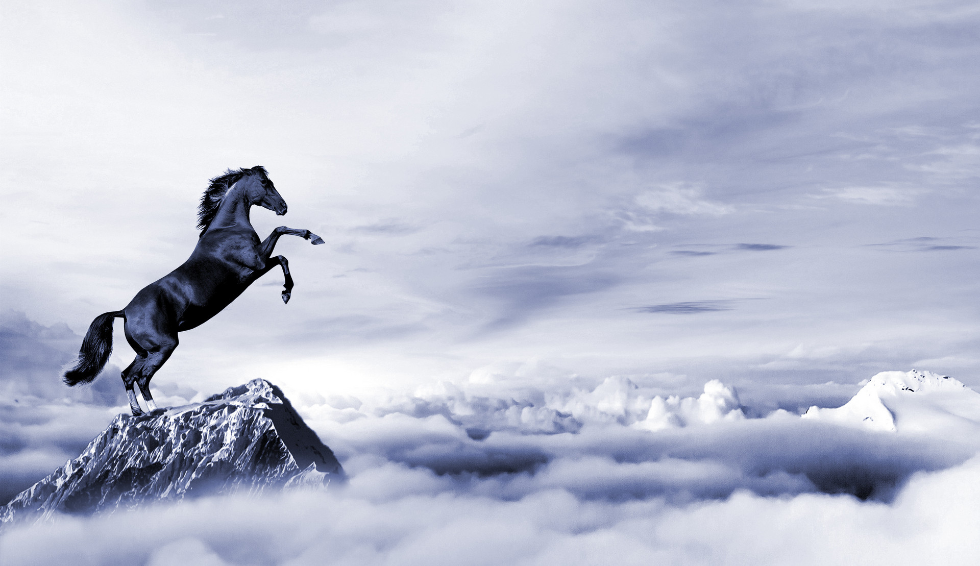 三头六臂汽配连锁宁津,三头六臂汽配连锁店内视频