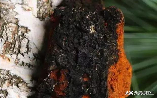 食用菌治疗糖尿病案例,吃什么菌能逆转糖尿病