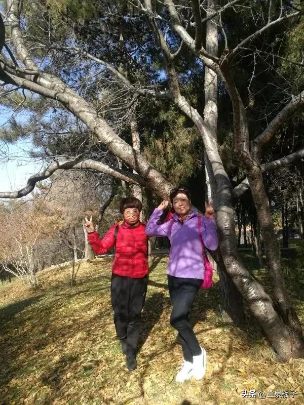 立冬自然风景,立冬雪景山水风景视频