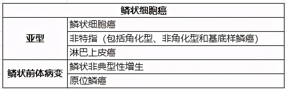 解读中华医学会肿瘤学分会肺癌临床诊疗指南（2021版）-病理学篇