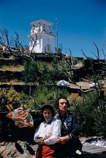 活在梦境的现实世界