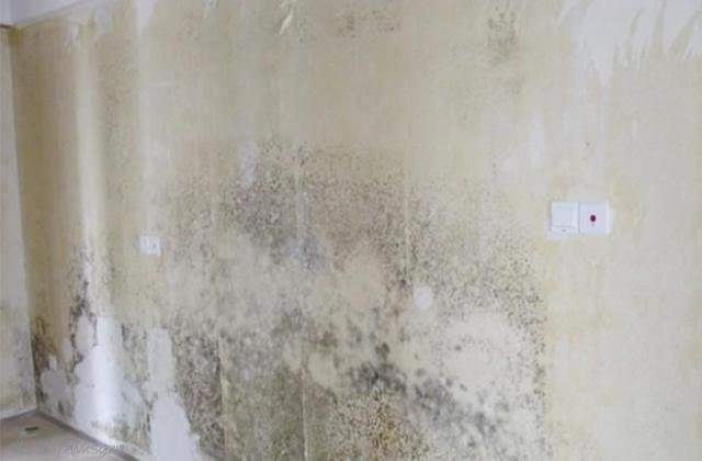 硅藻泥能改成大白墙,全屋做硅藻泥还是乳胶漆好
