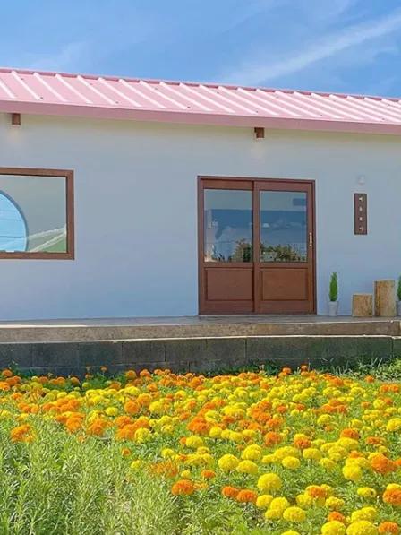 不同主色的淘宝店铺,不同风格的女装店铺