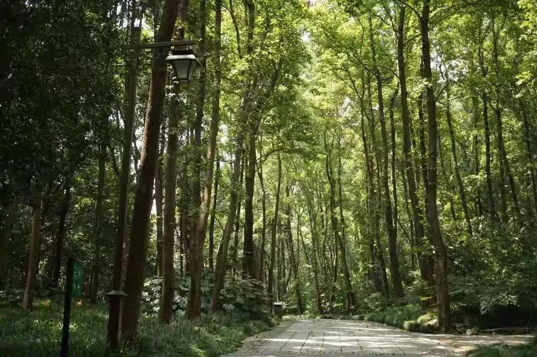 十一杭州景点攻略,杭州景点旅游攻略5天