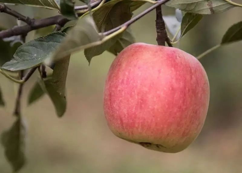 昌平自驾游京郊最佳好去处,北京昌平区冬季旅游