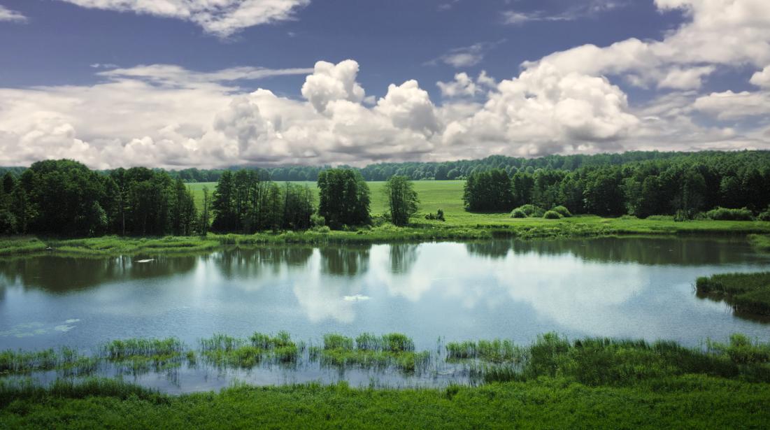 hipp德国喜宝发布会,hipp喜宝有机奶德国版怎么样