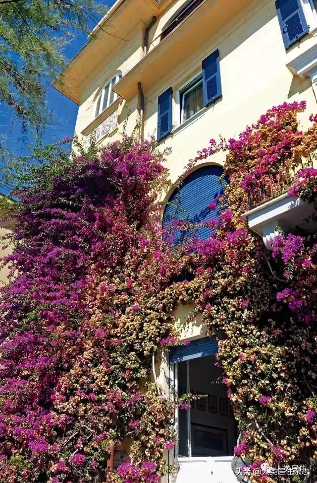 意大利五渔村,意大利五渔村风景