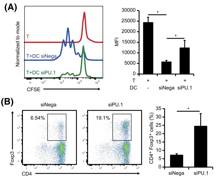 蓝莓干花青素可以减轻炎症反应,蓝莓便秘