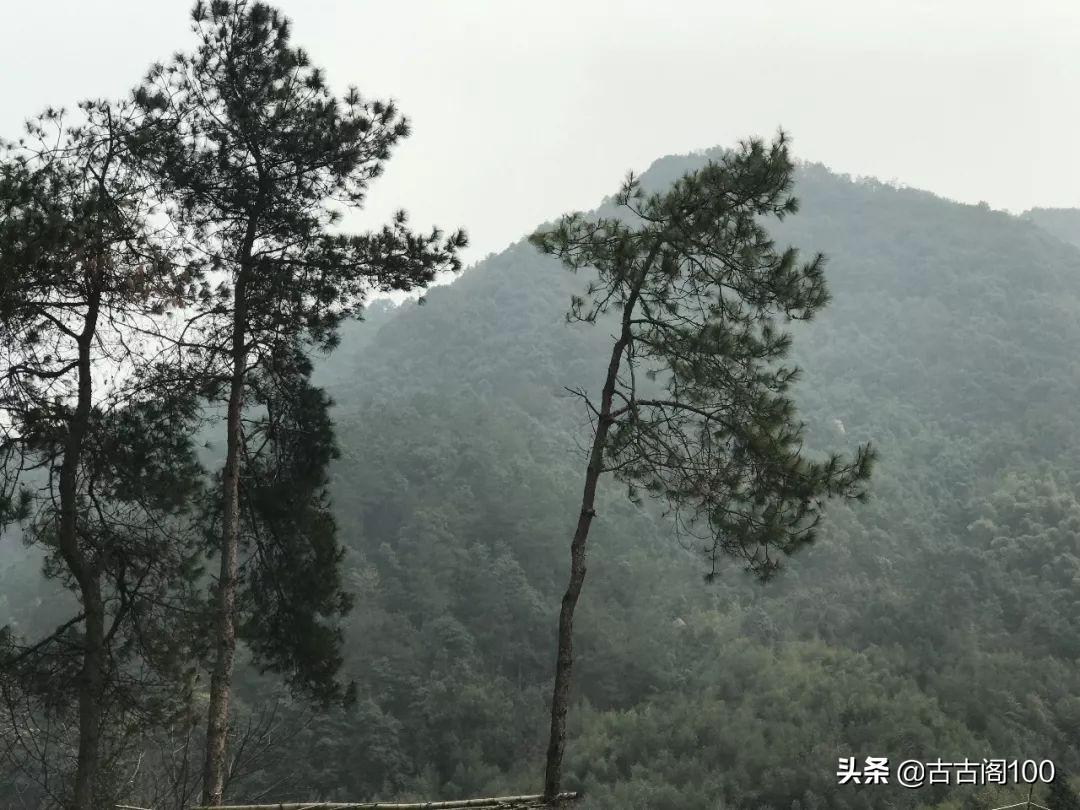 萧绍古道沿途风景,萧绍古道难爬吗