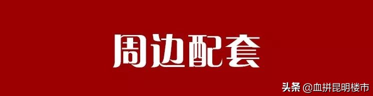 巫家坝中央公园还有希望吗,巫家坝中央公园何时开建最近消息