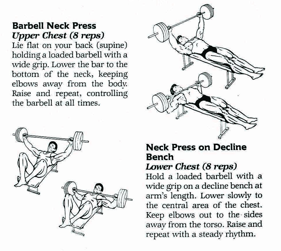 胸部上薄下厚怎么办？小重量断头台卧推为胸部注入新的活力