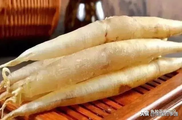 涨知识系列详解,涨知识简短