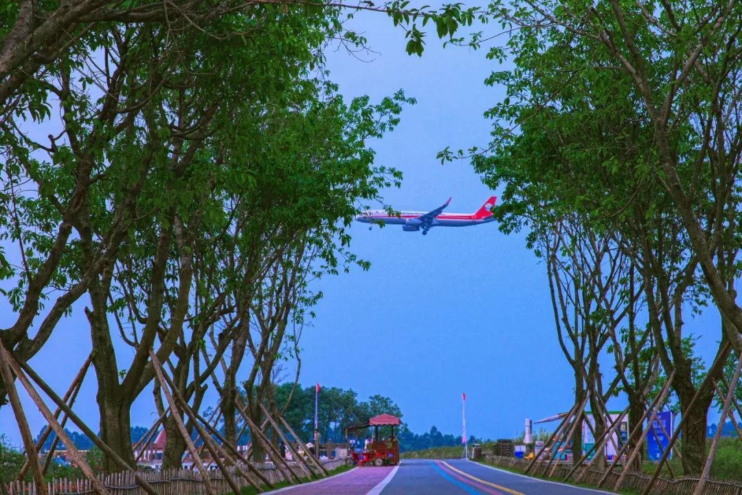 双流最好耍的湿地公园,成都双流打卡公园