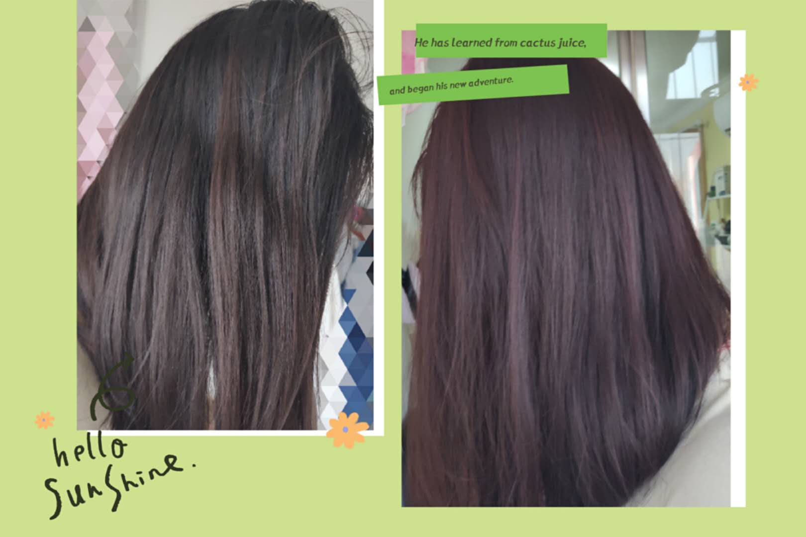 爱茉莉泡沫染发剂染发时间要多久 (爱茉莉泡沫染发底色黑色推荐色号)