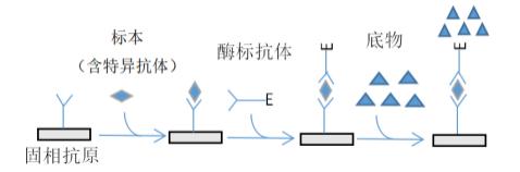 新冠病毒的狡猾在哪里,新型冠状病毒最准确的检测方法