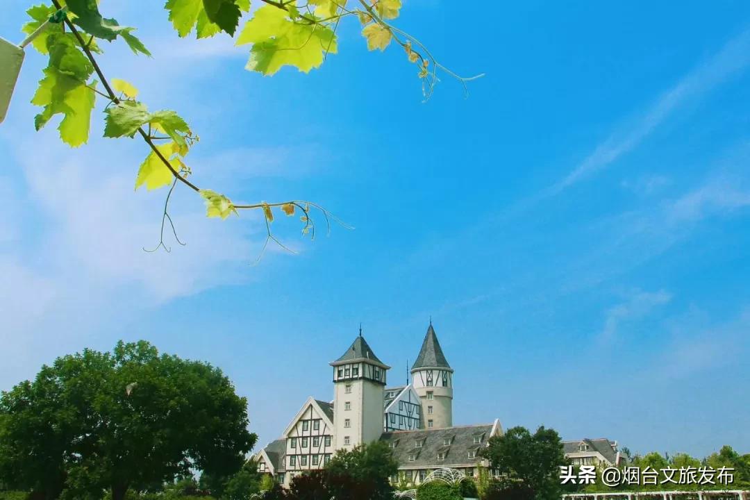 张裕卡斯特酒庄窖藏5年,张裕卡斯特酒庄品酒