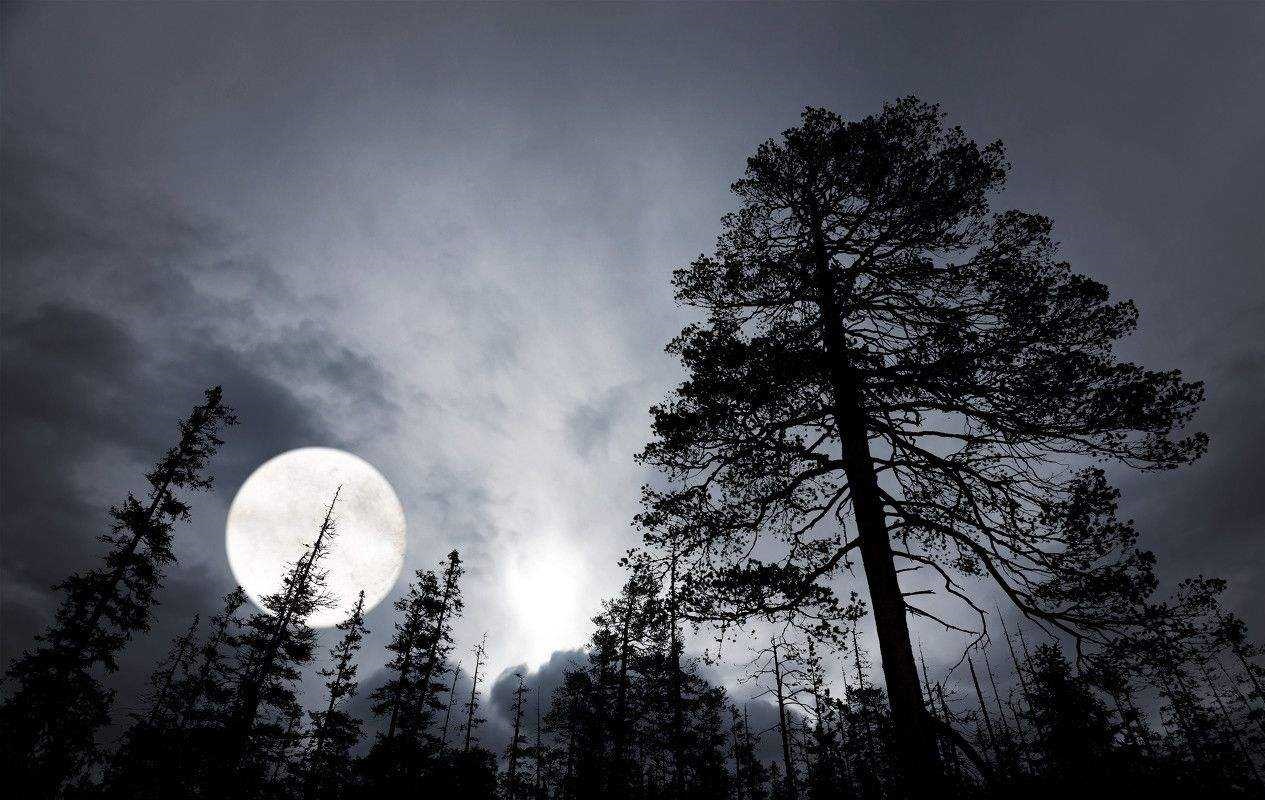 全球最震撼的旅游禁区,你知道盘点中国十大旅游禁区吗