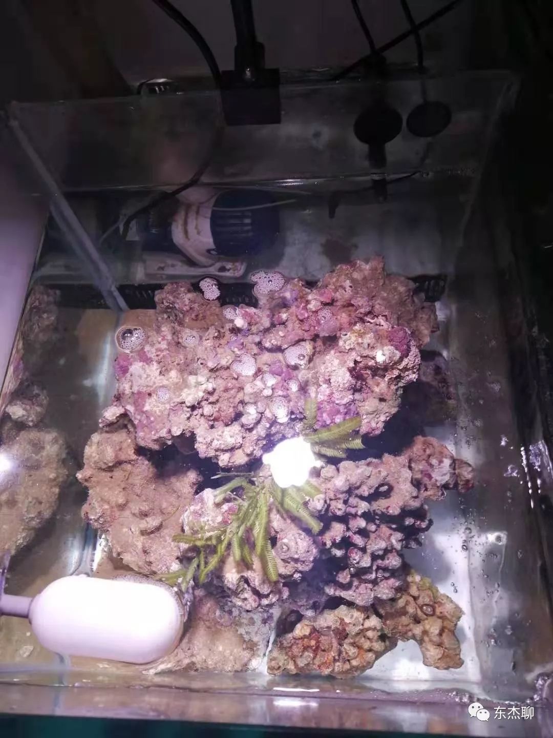 光说不练假把式图片,光说不练假把式怎么回复