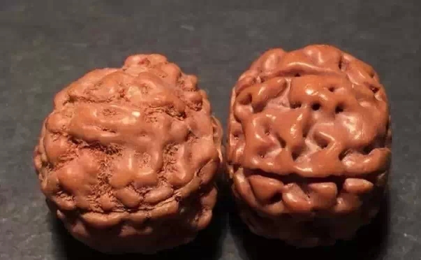 金刚菩提怎么保养不会裂,金刚菩提为什么会裂